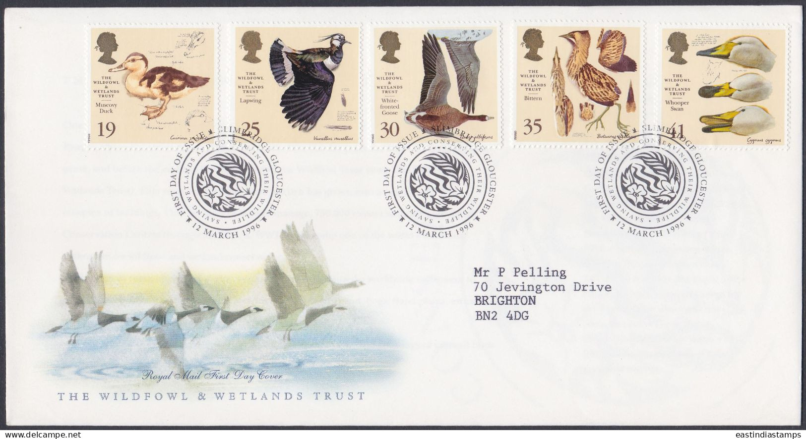 GB Great Britain 1996 FDC Wildfowl, Wetlands, Fowl, Bird, Birds, Swan, Duck, Goose, Pictorial Postmark, First Day Cover - Covers & Documents