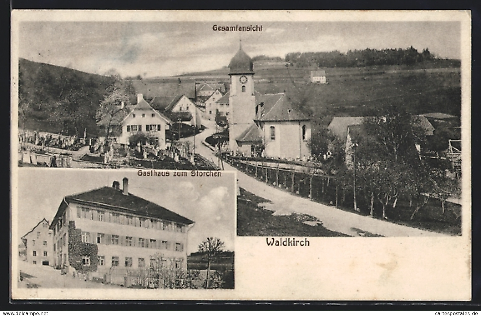 AK Waldkirch / Waldshut, Gasthaus Zum Storchen, Gesamtansicht  - Waldkirch