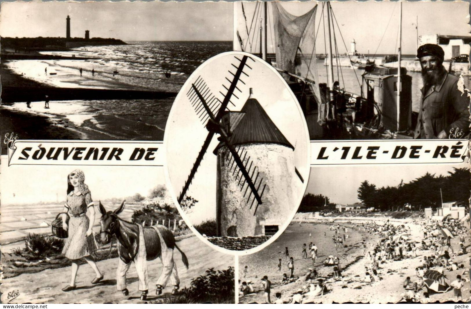 N°1086 W -cpsm Souvenir De L'île De Ré -multivues- - Greetings From...