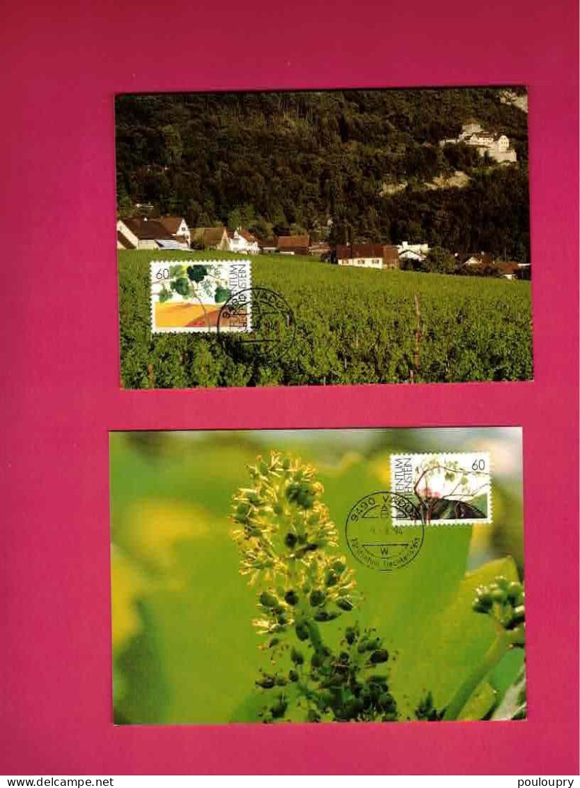 Cartes Maximum De 1994 Du Liechtenstein - Yt N° 1030 à 1033 - Evolution De La Vigne Au Fil Des 4 Saisons - Vinos Y Alcoholes