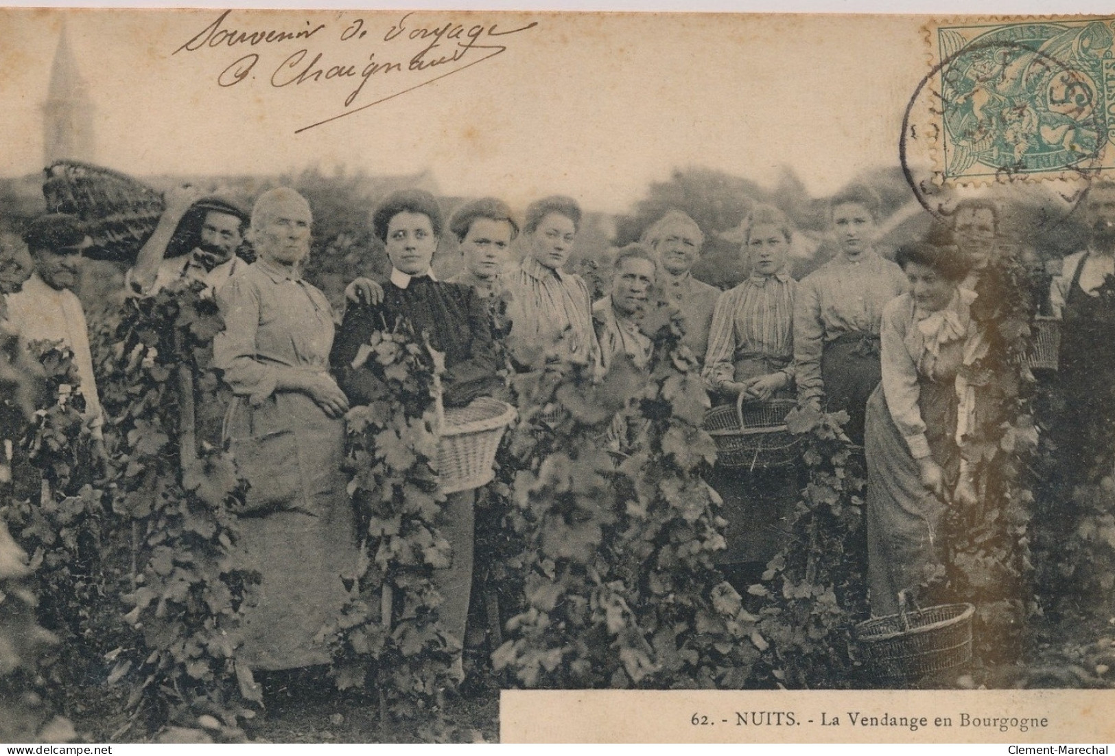 NUITS-ST-GEORGES : La Vendange En Bourgogne - Très Bon état - Nuits Saint Georges