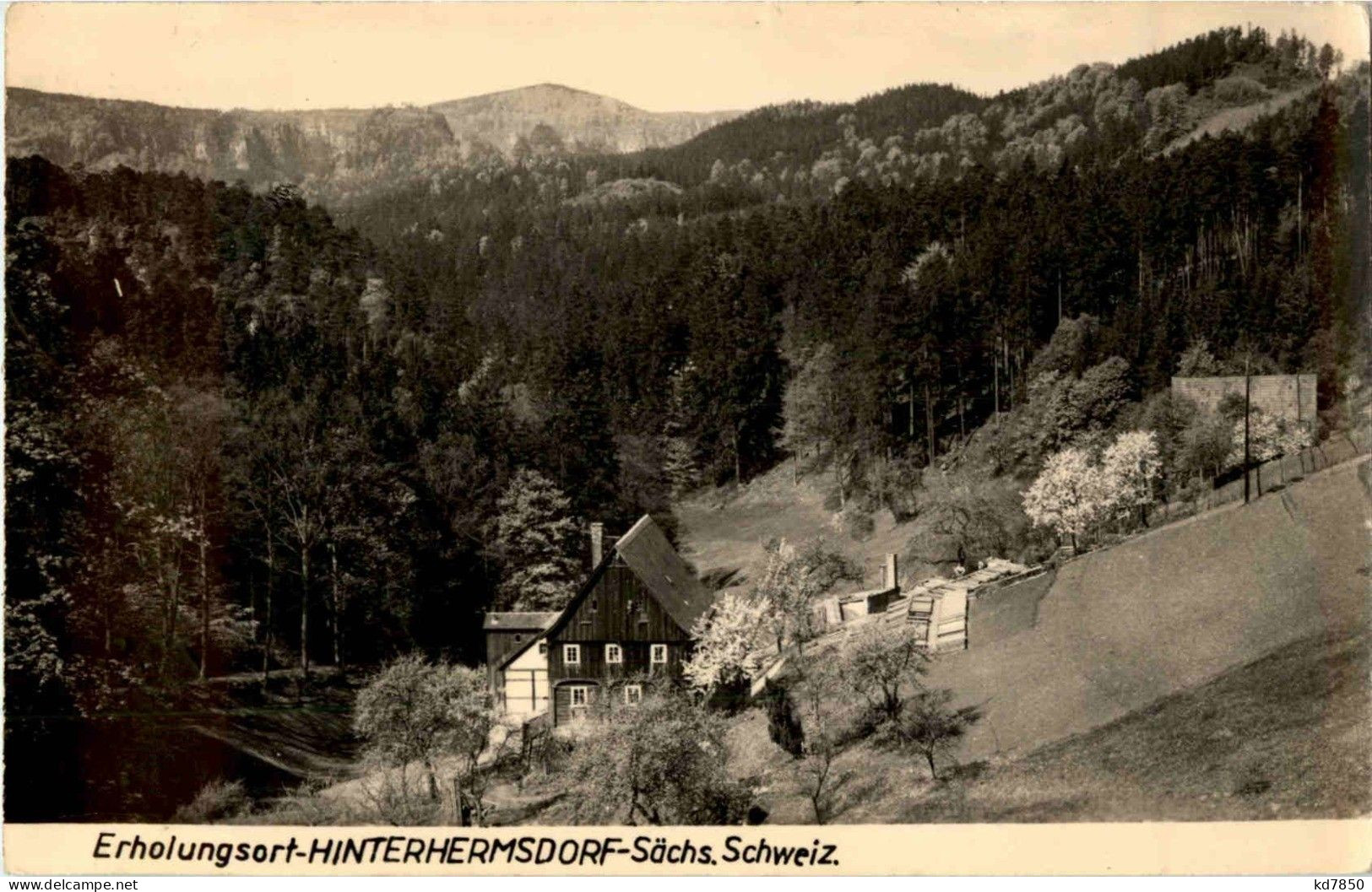 Hinterhermsdorf - Hinterhermsdorf