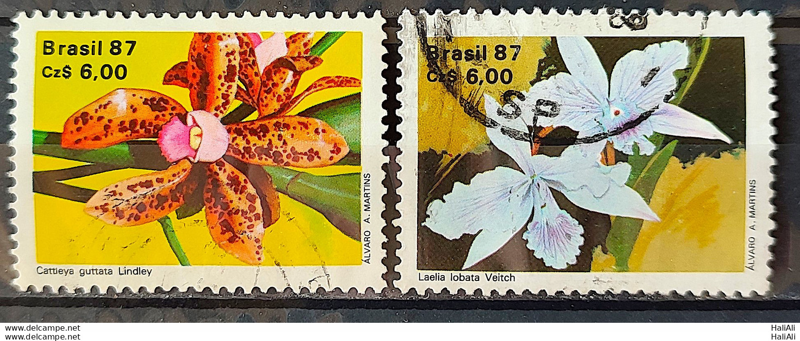 C 1572 Brazil Stamp 50 Years Brazilian Society For Orquidaphic Flora Orquidea 1987 Complete Series Circulated 6 - Usati