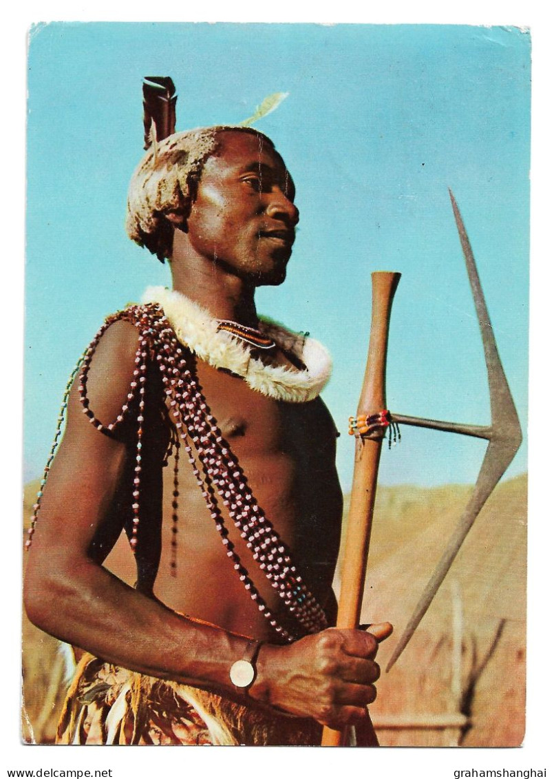 Postcard Swaziland Swazi Warrior Traditional Ethnic Costume Posted 1950s Advertising 'Cardiotonic' - Africa