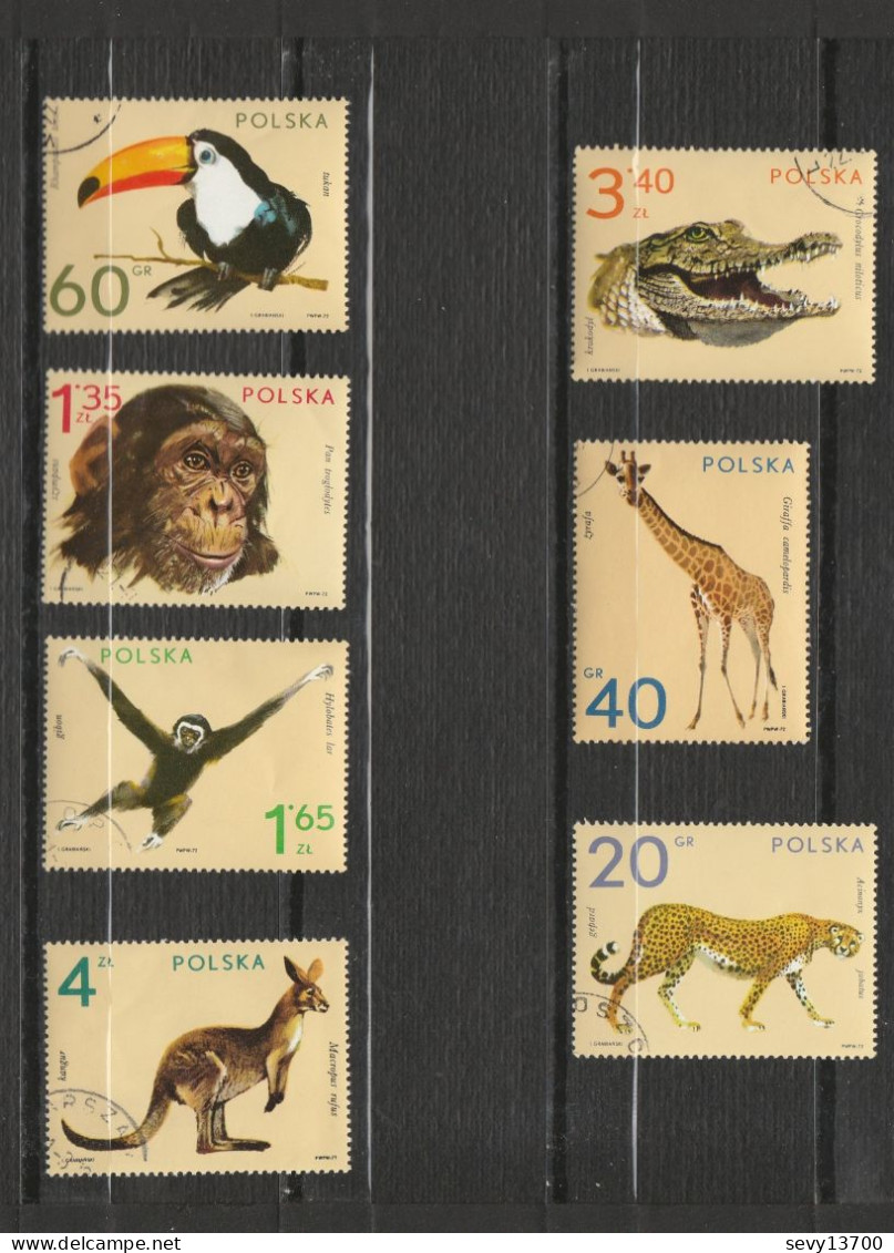 Pologne - 58 Timbres Animaux - Poissons Insectes Chevaux Oiseaux Chiens Chats Oiseaux Serpents Grenouilles Tortue Singe - Verzamelingen