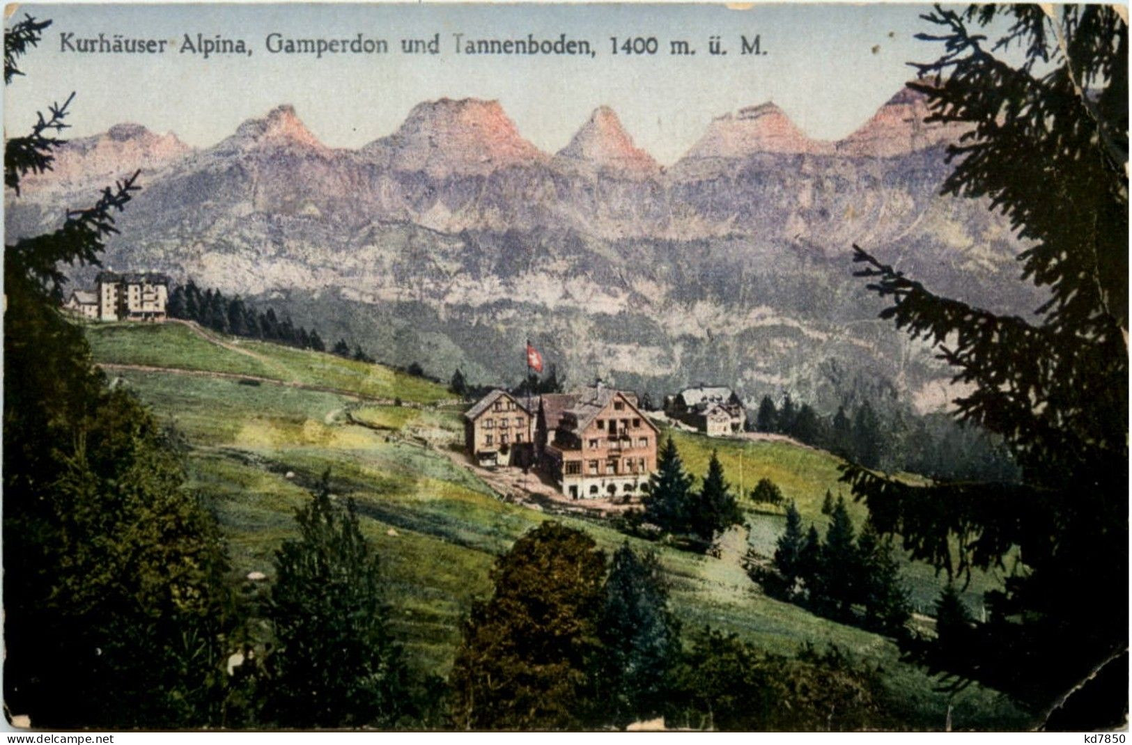 Kurhaus Alpina Gamperdon Und Tannenboden - Flums - Flums