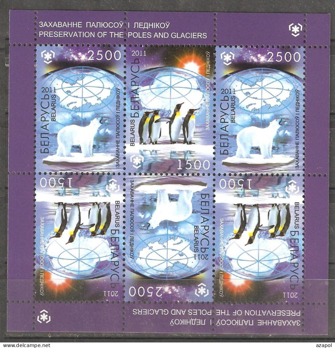 Belarus: Mint Block, Protection Of Polar Areas & Glaciers, 2011, Mi#Bl-83, MNH - Behoud Van De Poolgebieden En Gletsjers