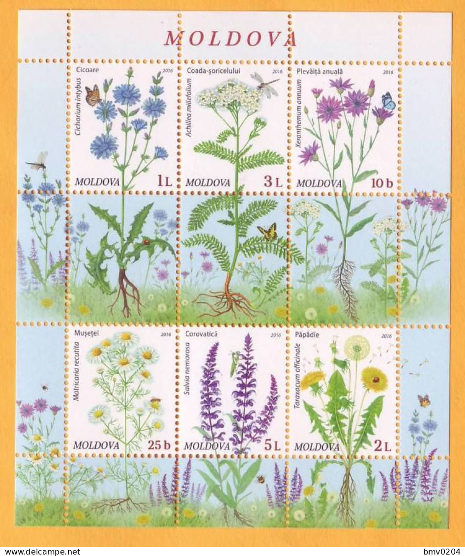 2016  Moldova Moldavie Moldau.  Wildflowers Of Moldova. 6v Mint - Sonstige & Ohne Zuordnung