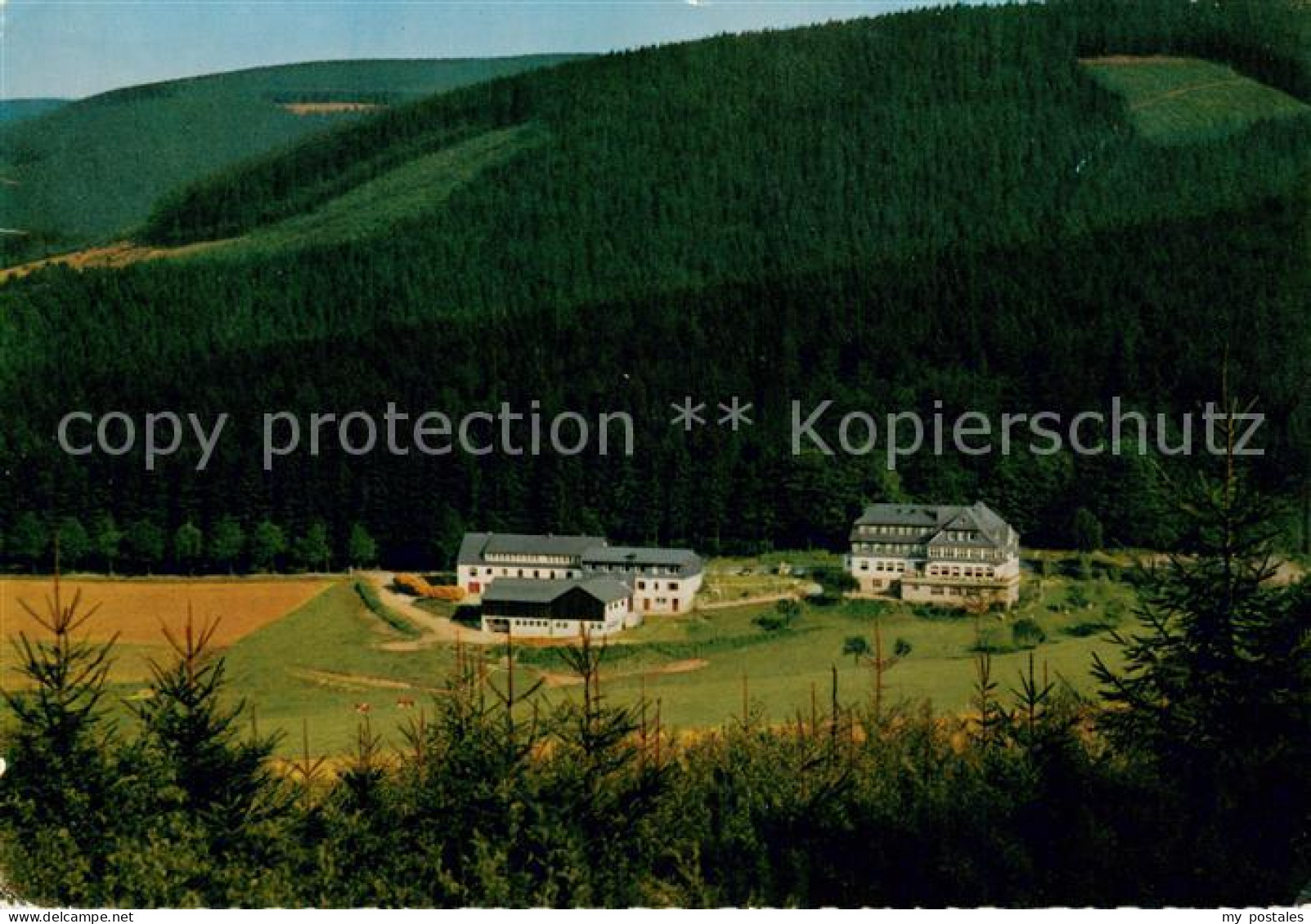 73780139 Rimberg Schmallenberg Hotel Pension Knoche Rimberg Schmallenberg - Schmallenberg