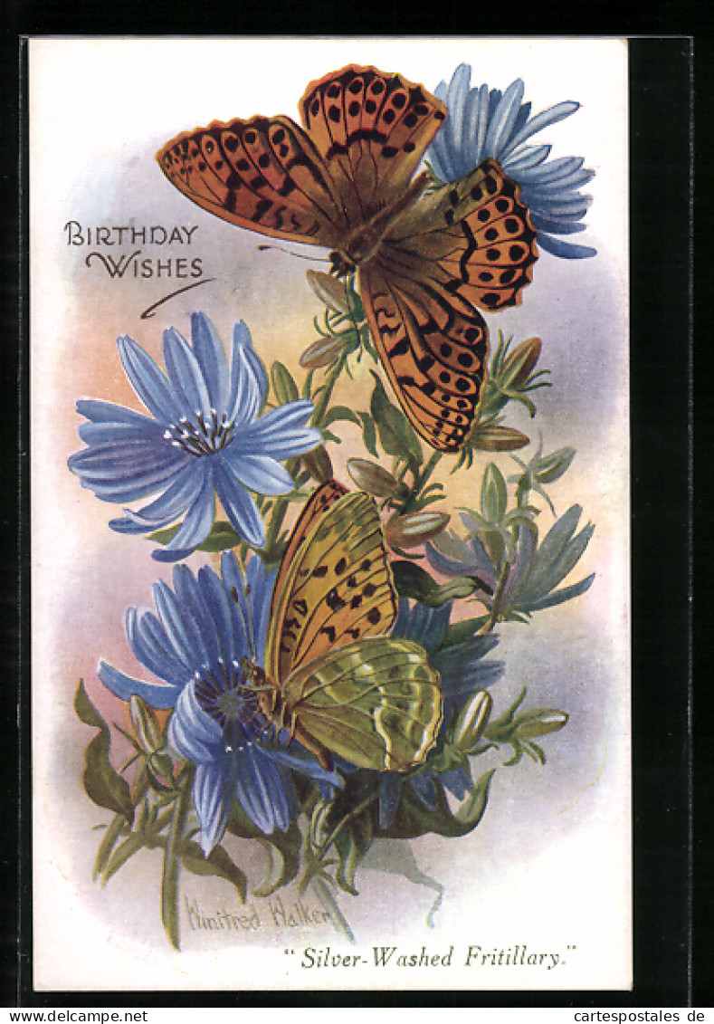 AK Silver-Washed Fritillary, Geburtstagsgruss  - Insekten