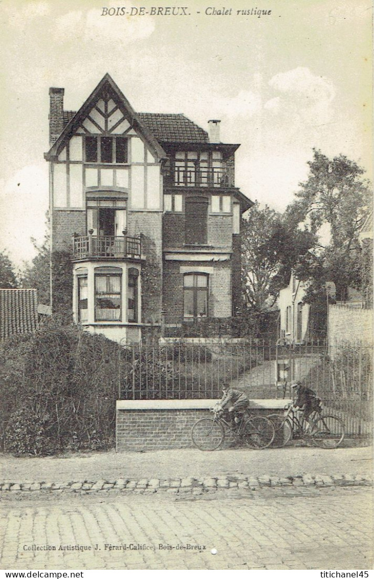 BOIS-DE-BREUX - Chalet Rustique - Collection Artistique J. Férard-Califice, Bois-de-Breux - Fléron