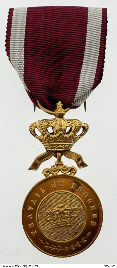 Médaille Décoration. Travail Et Progrès. - Professionnels / De Société