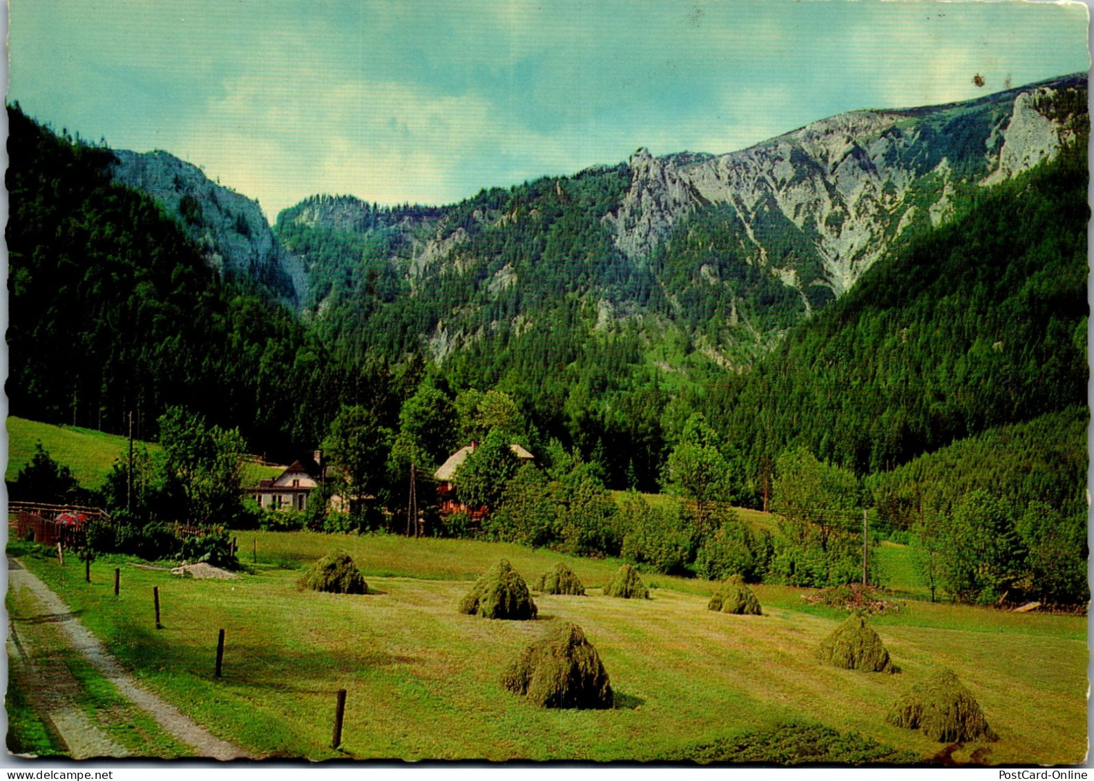 50518 - Steiermark - Neuberg , Oberwallner's Gastwirtschaft Gegen Ausgang Schönhaltereck , Schneealpe - Gelaufen  - Mürzzuschlag