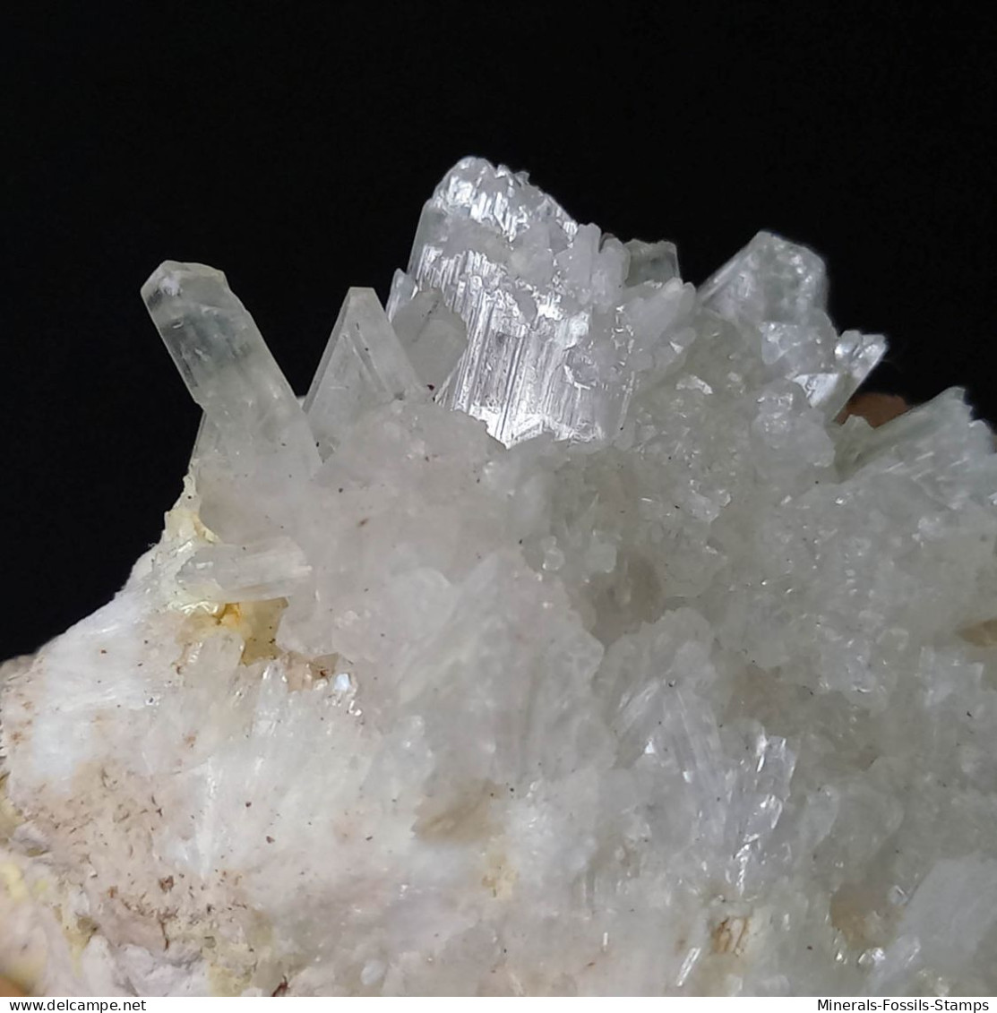 #C41 GIPS, COELESTIN Kristalle (Muculufa-Mine, Butera, Caltanissetta, Sizilien, Italien) - Minerals