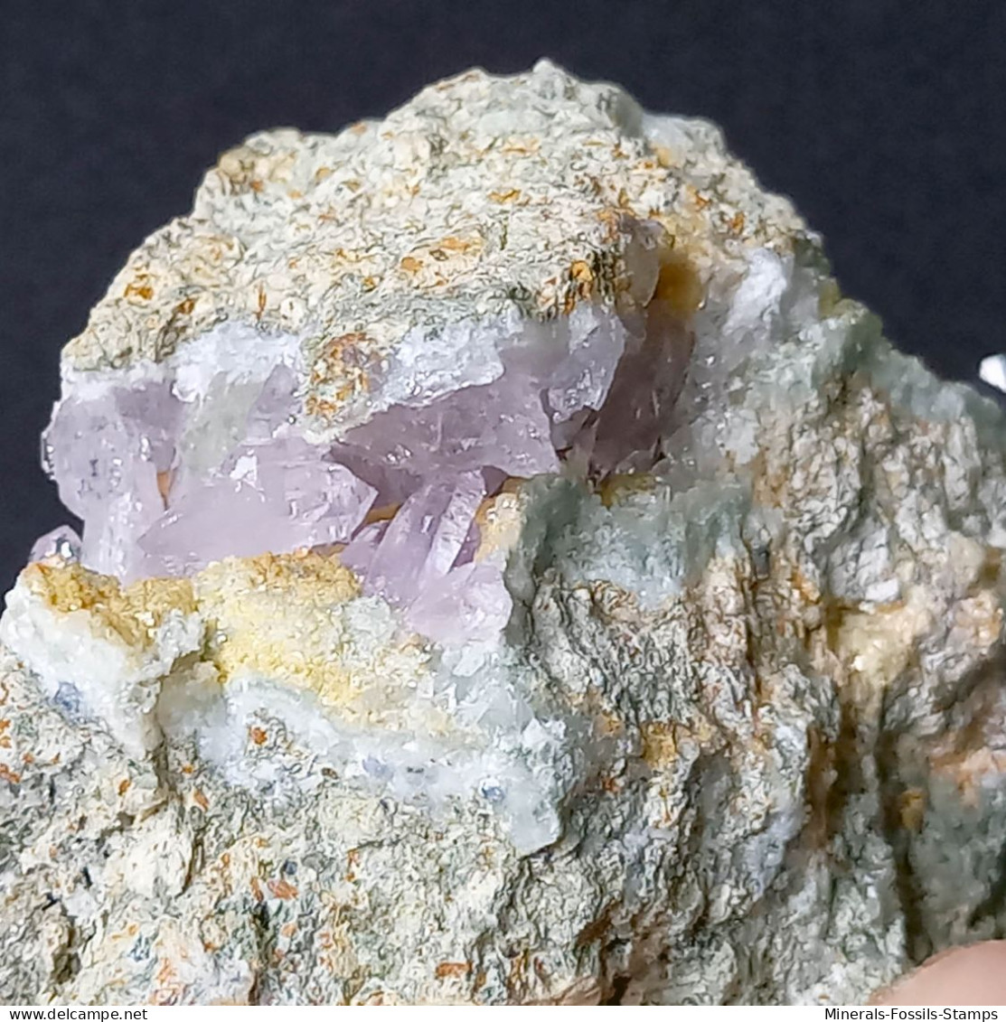 #C44 QUARZ Var. AMETHYST Kristalle (Capurru Quarry, Osilo, Sassari, Sardinien, Italien) - Minéraux