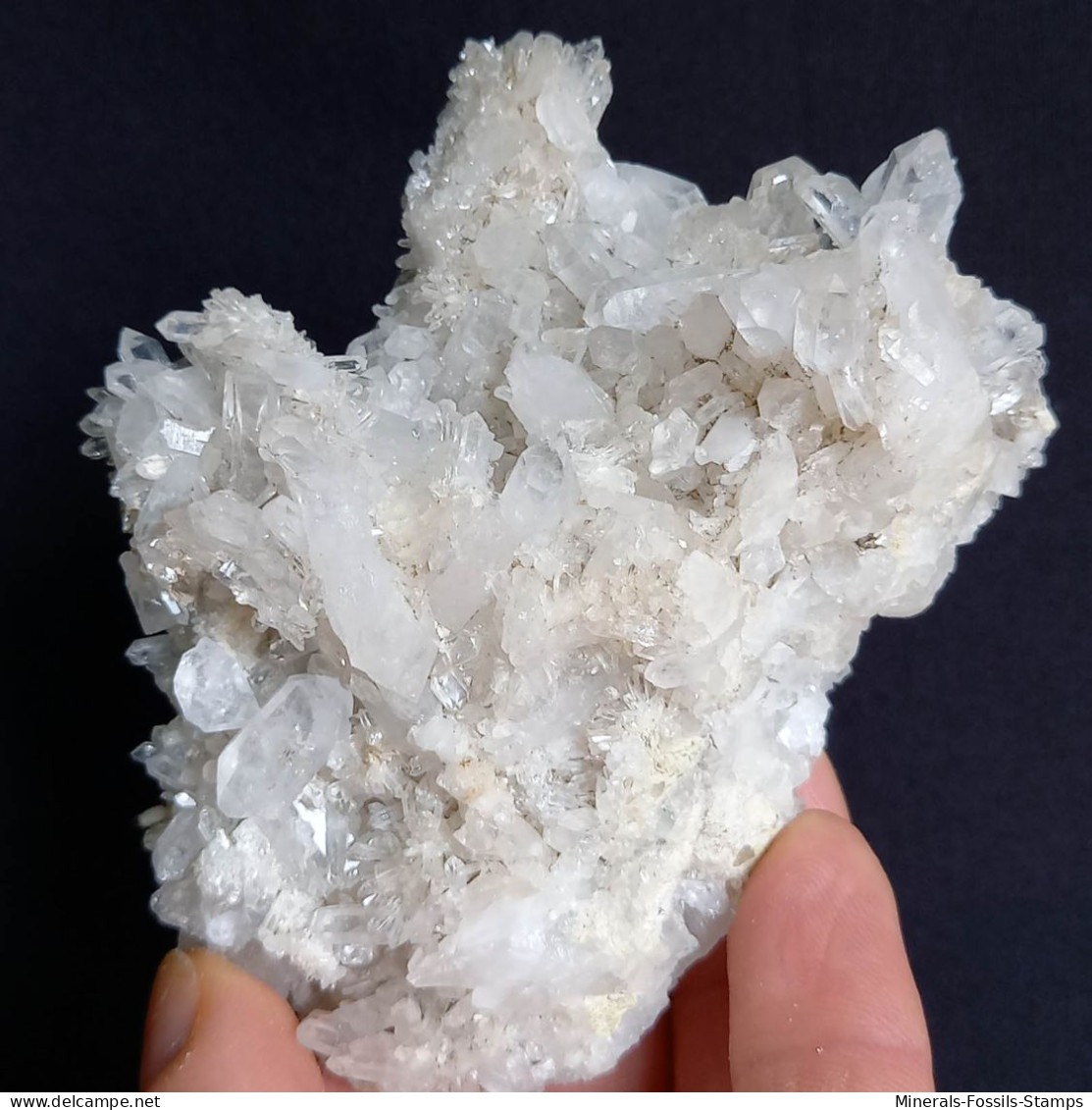 #O66 Schöne QUARZ XX (Castagnola, Val D'Aveto, Piacenza, Italien) - Minerals