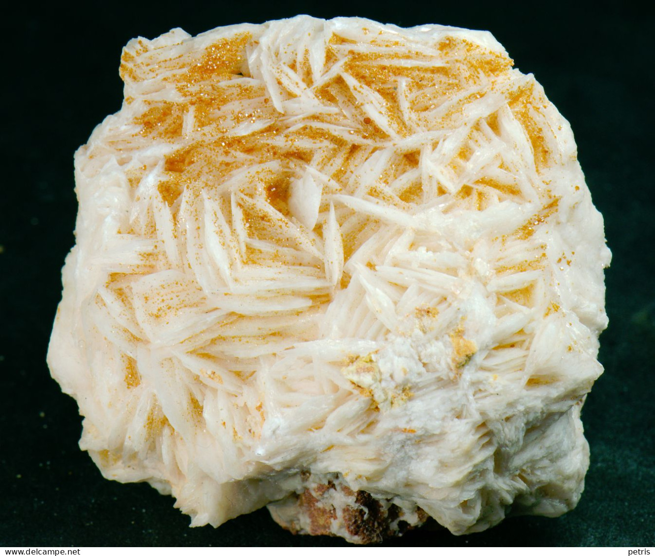 Mineral - Vanadinite Su Barite (Mibkladen, Marocco) - Lot. 1164 - Minéraux