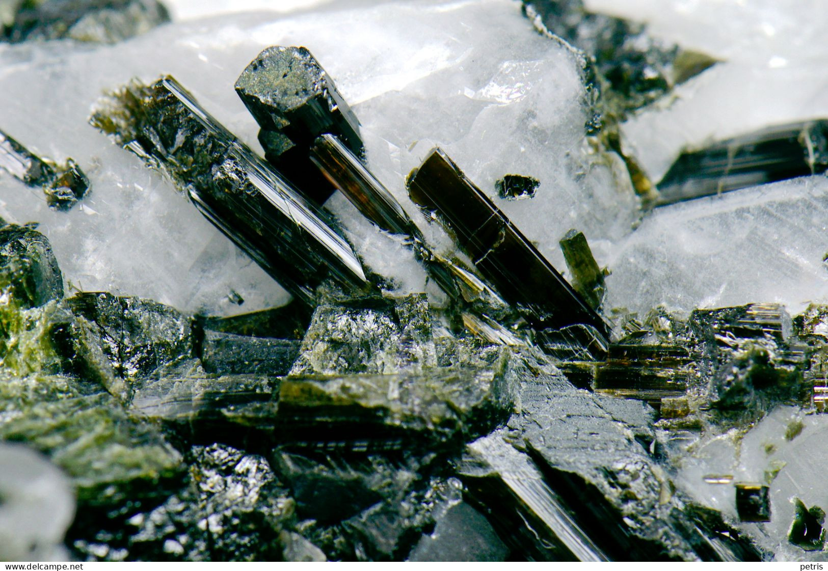Mineral - Tormalina Su Quarzo (Brasile) - Lot. 1165 - Minéraux