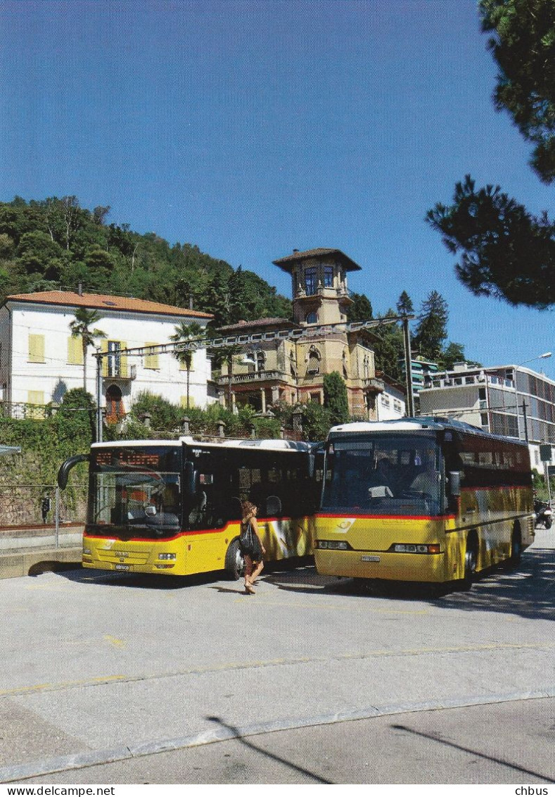 Autobus, Bus; Postauto, Car Postal; MAN, Neoplan; Ponte Tresa - Ponte Tresa