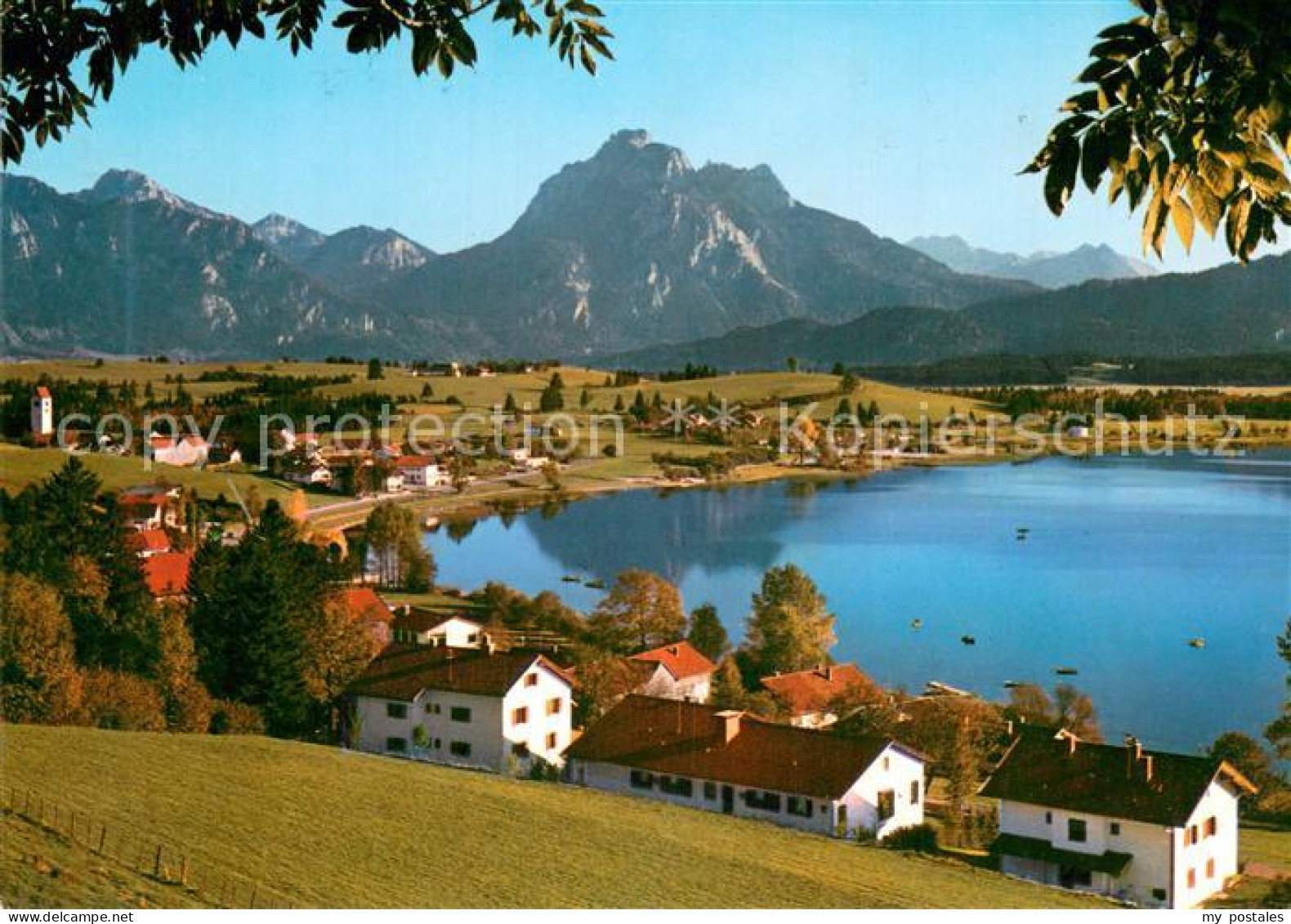 73746423 Hopfen See Mit Straussberg Kreuzspitze Saeuling Und Tiroler Alpen Hopfe - Füssen