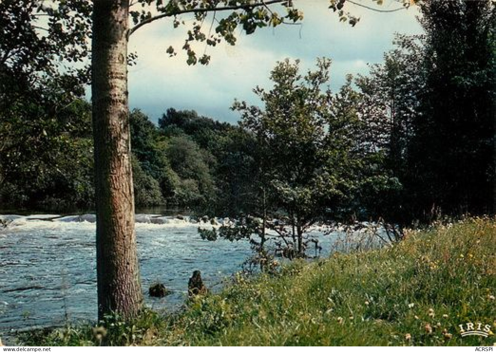 VIENNE  Les Bords De La Vienne   42   (scan Recto-verso)MA2166Ter - L'Isle Jourdain