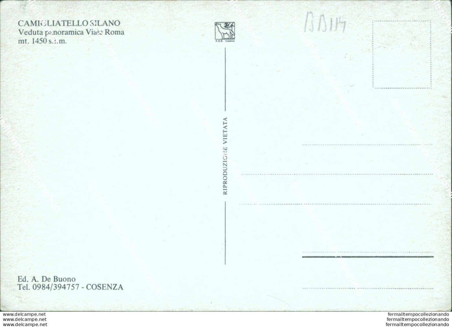 Bb114 Cartolina Camigliatello Silano Veduta Panoramica Viale Roma Cosenza - Cosenza