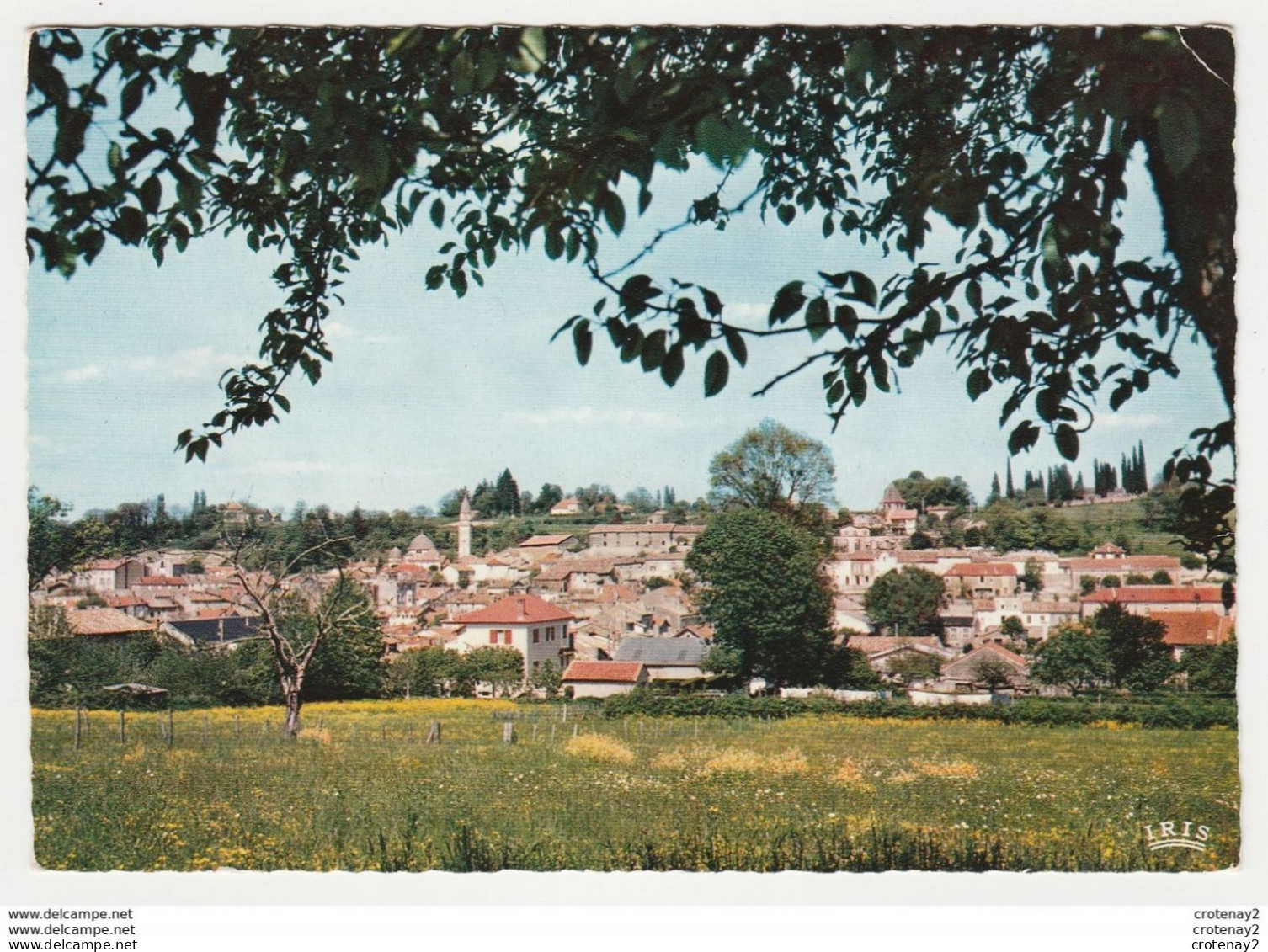 24 RIBERAC N°12 Vue D'Ensemble En 1969 - Riberac