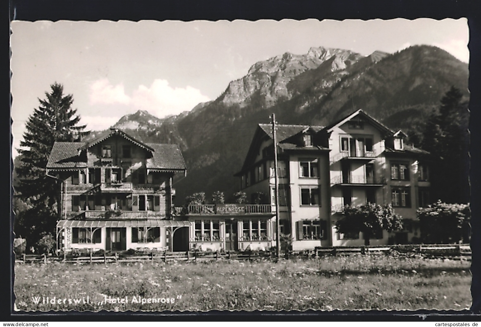 AK Wilderswil, Hotel Alpenrose Vor Bergpanorama  - Wilderswil