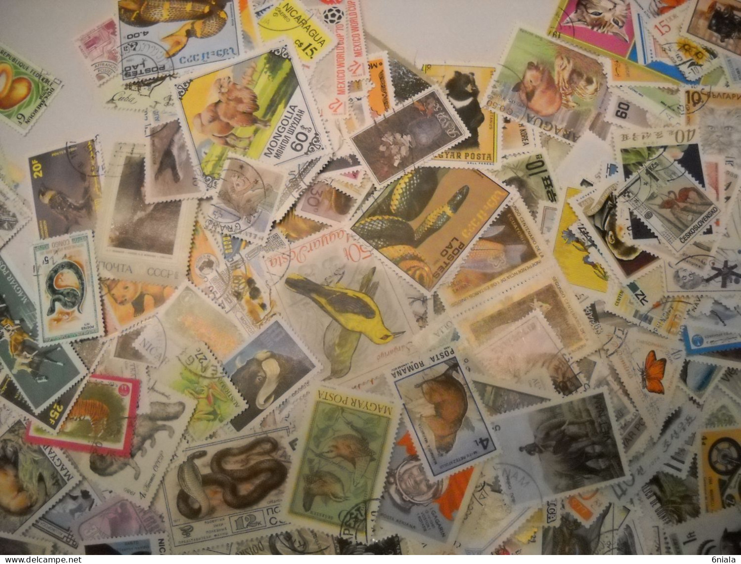 TIMBRES THEMATIQUE DIVERS MONDE  170 G  Animaux, chats, chiens, reptiles papillons, voitures, ETC ..VOIR SCANS