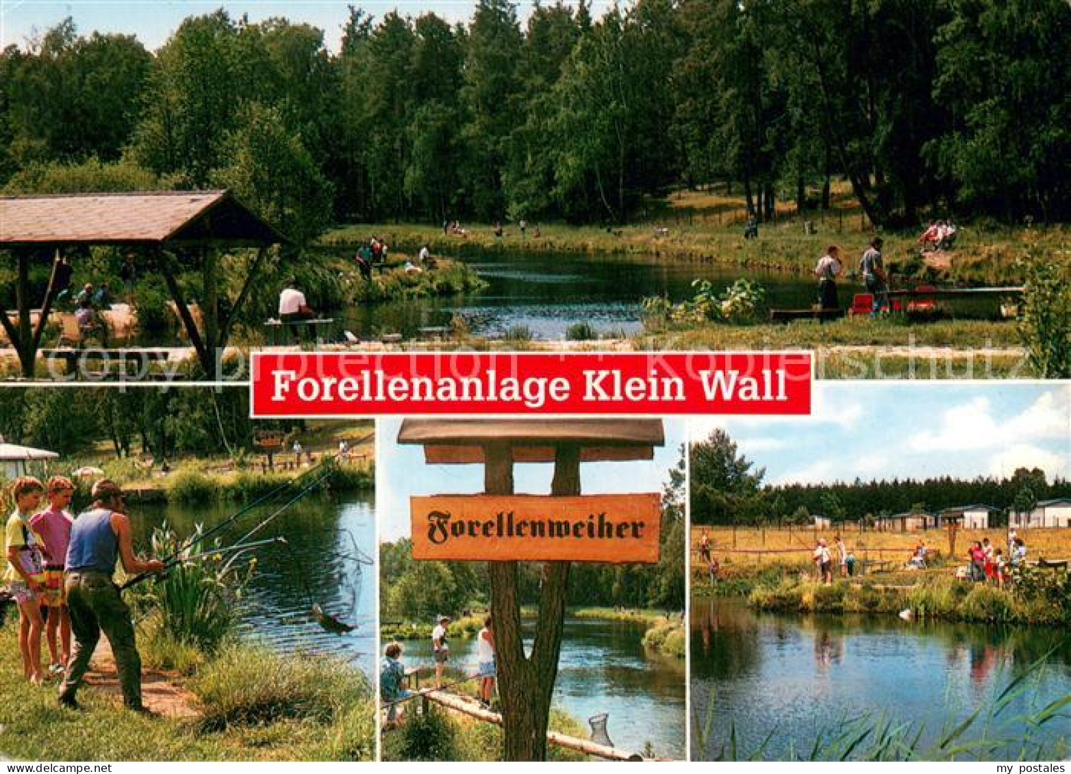 73722496 Gruenheide Mark Forellenanalge Klein Wall Weiher Gruenheide Mark - Gruenheide