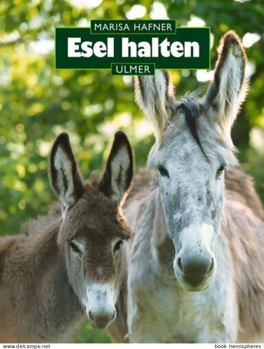 Esel Halten (2002) De Marisa Hafner - Animaux