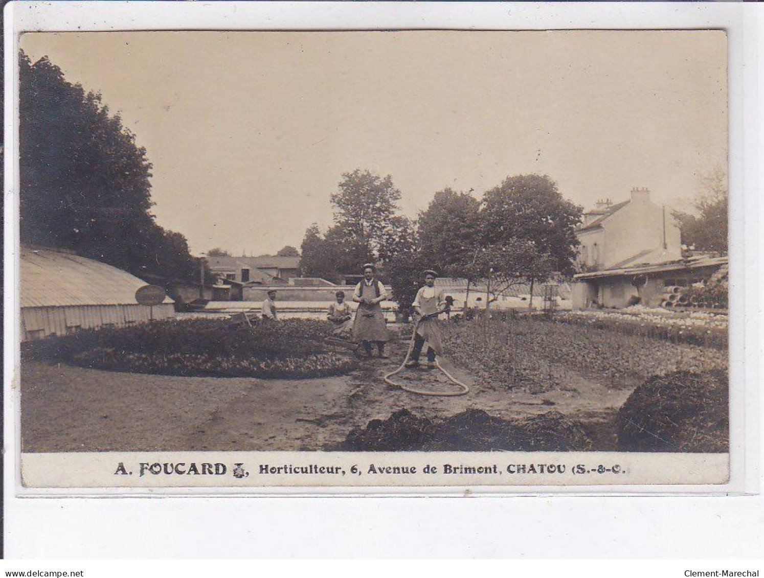 CHATOU: A. Foucard, Horticulture, 6 Avenue De Brimont - Très Bon état - Chatou