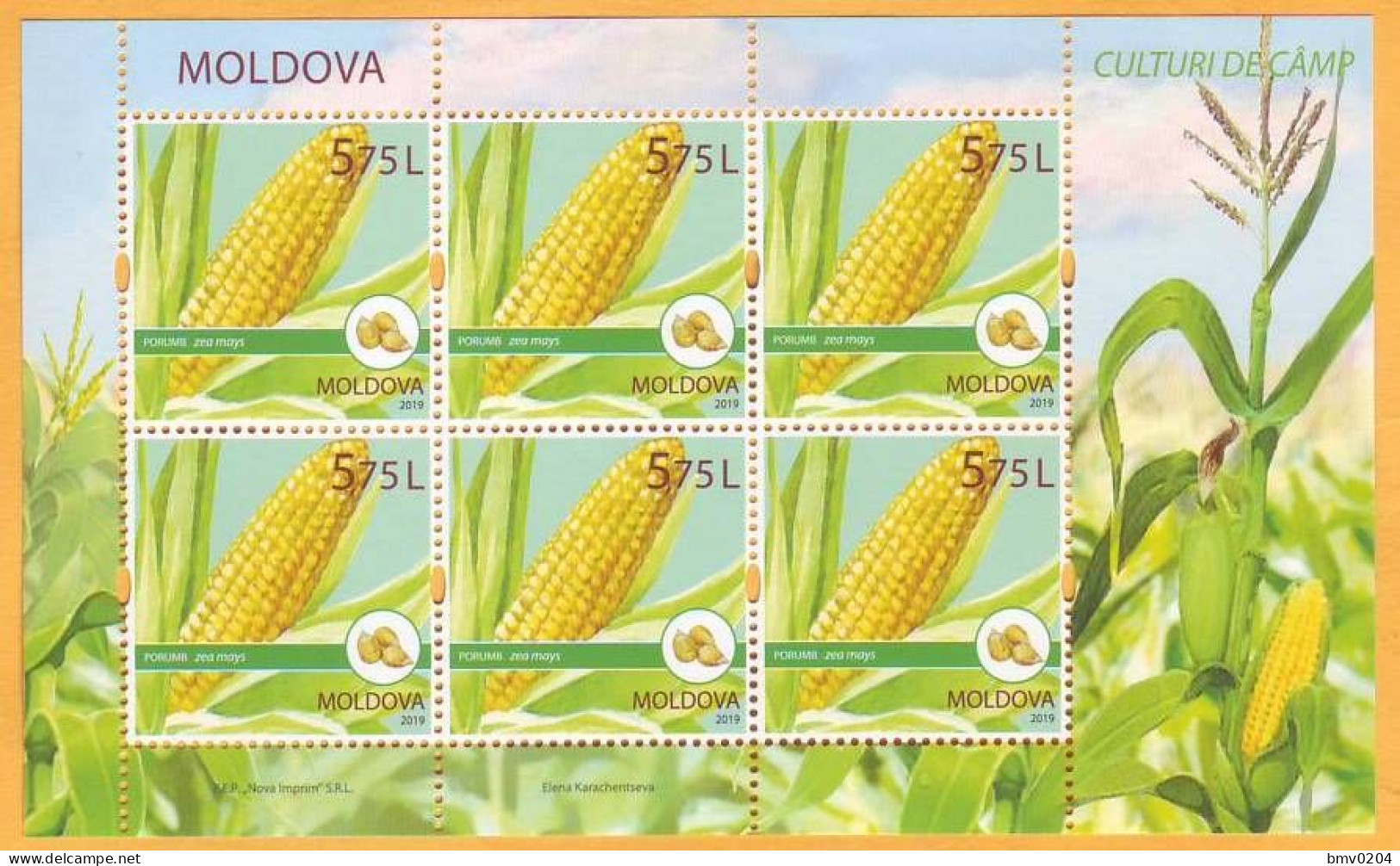 2019 Moldova Moldavie  Cereal Crops. Field Crops Corn. Sheet Mint - Agriculture