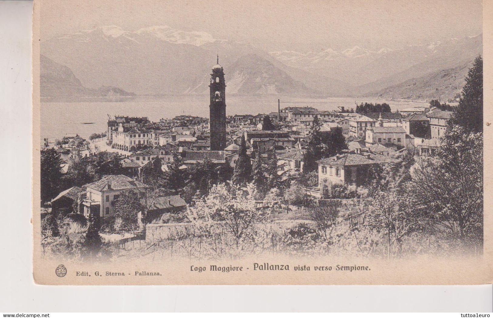 LAGO MAGGIORE  PALLANZA  VERBANIA  VISTA VERSO SEMPIONE  NO VG - Verbania