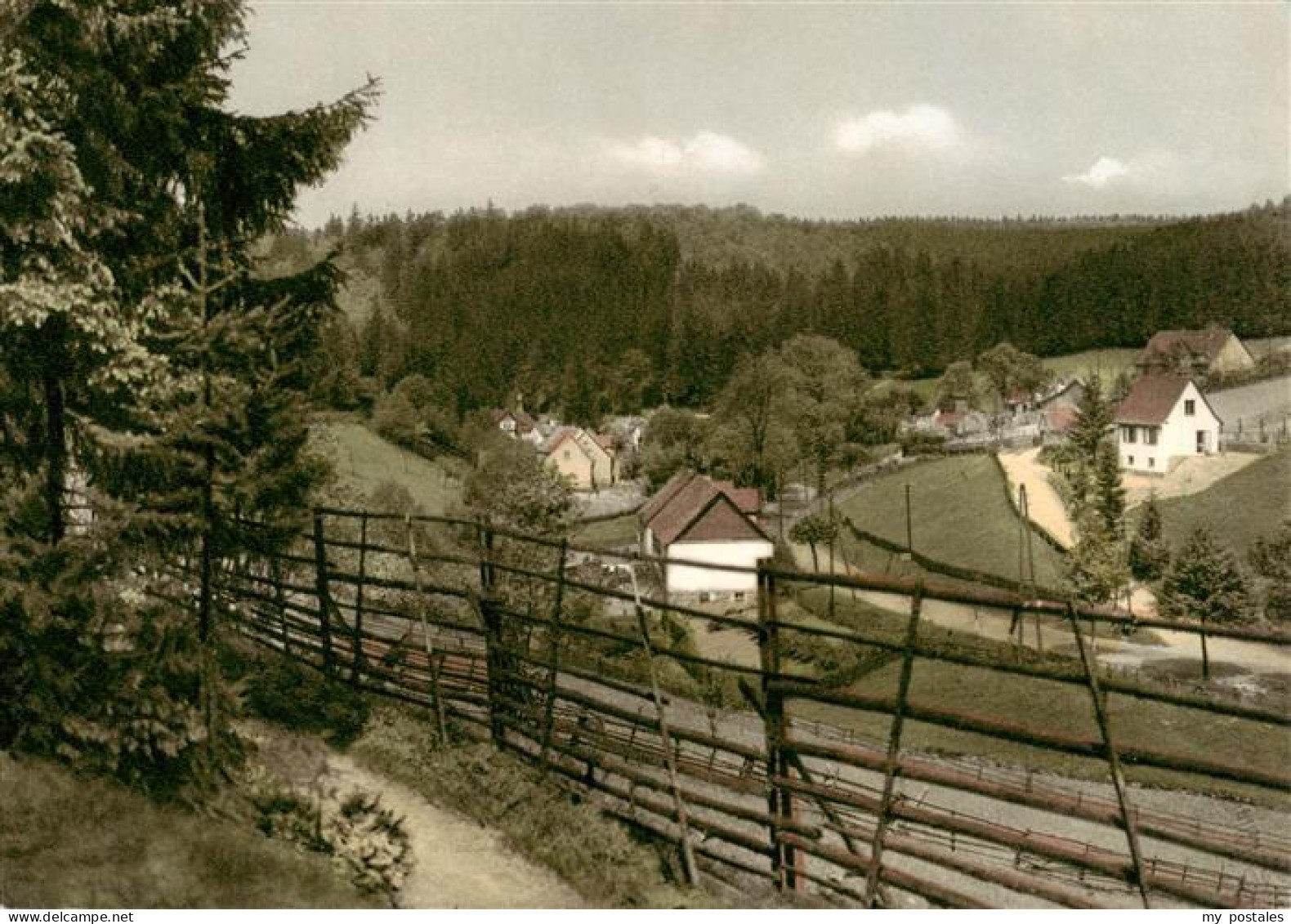 73900698 Neuhaus Solling Blick Auf Fohlenplacken Neuhaus Solling - Holzminden