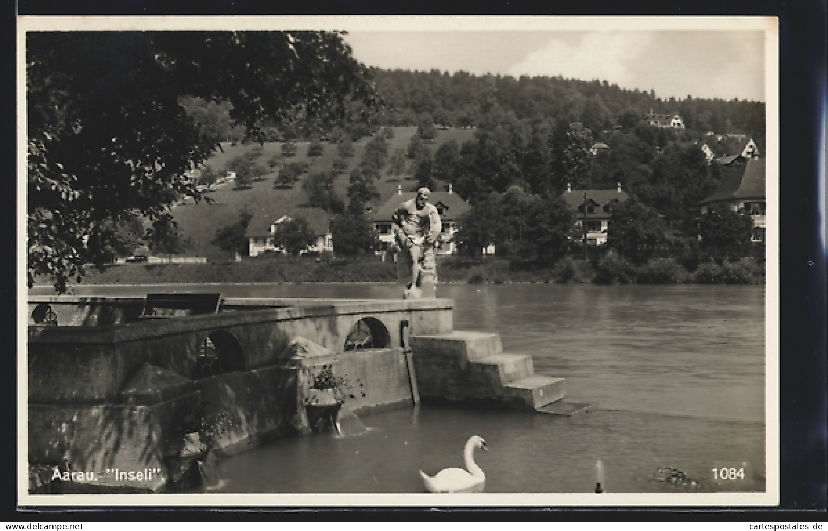 AK Aarau, Inseli Mit Statue Und Schwan  - Aarau