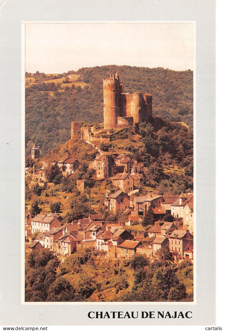 12-NAJAC LE CHATEAU-N° 4446-C/0035 - Najac