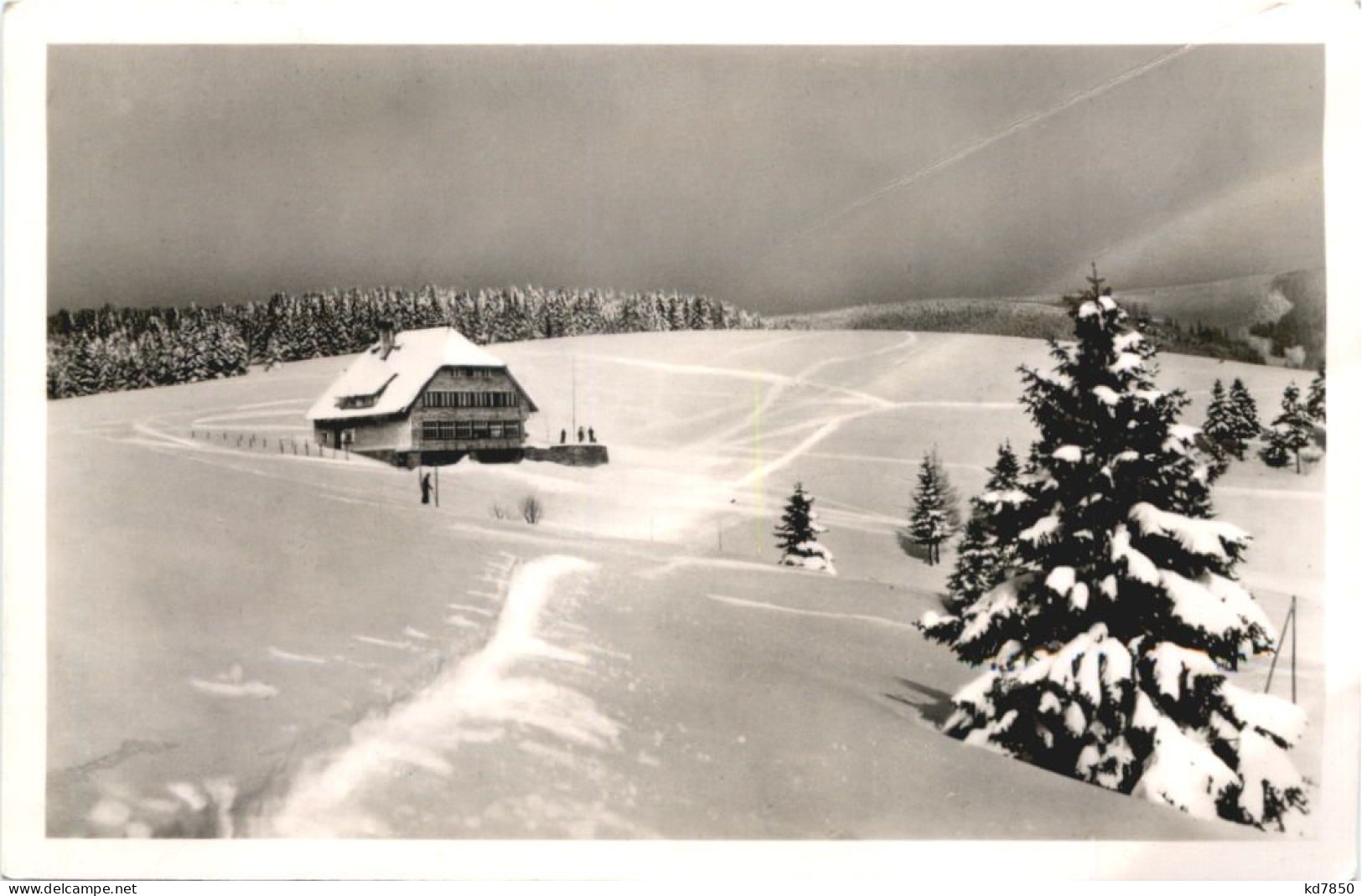 Todtnauberg - Jugendherberge - Todtnau