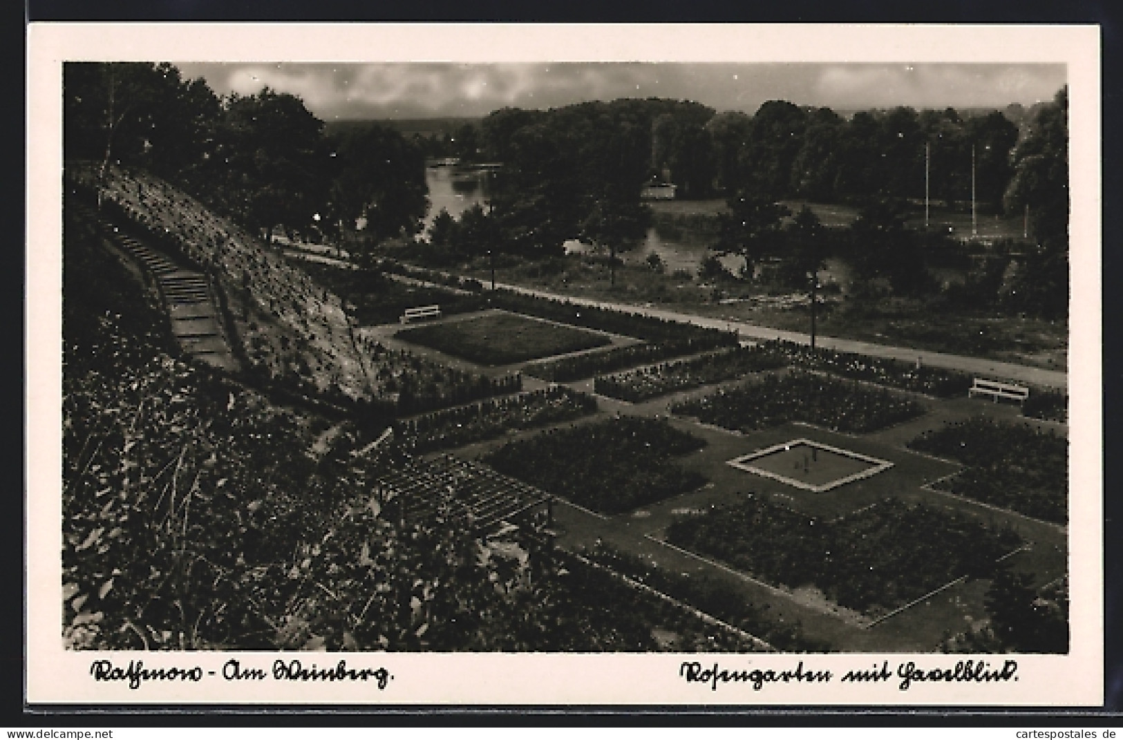 AK Rathenow, Partie Am Weingarten, Rosengarten Mit Havelblick  - Rathenow