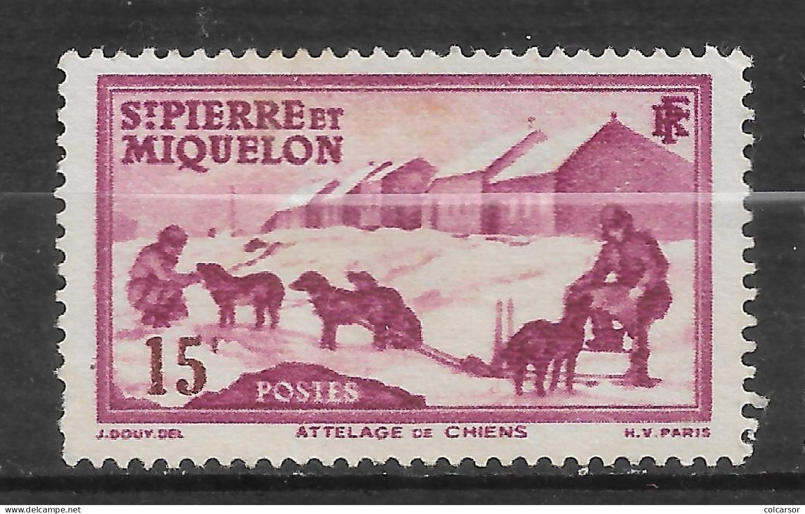 SAINT PIERRE ET MIQUELON N°  172  "   ATTELAGE DE CHIENS " - Neufs