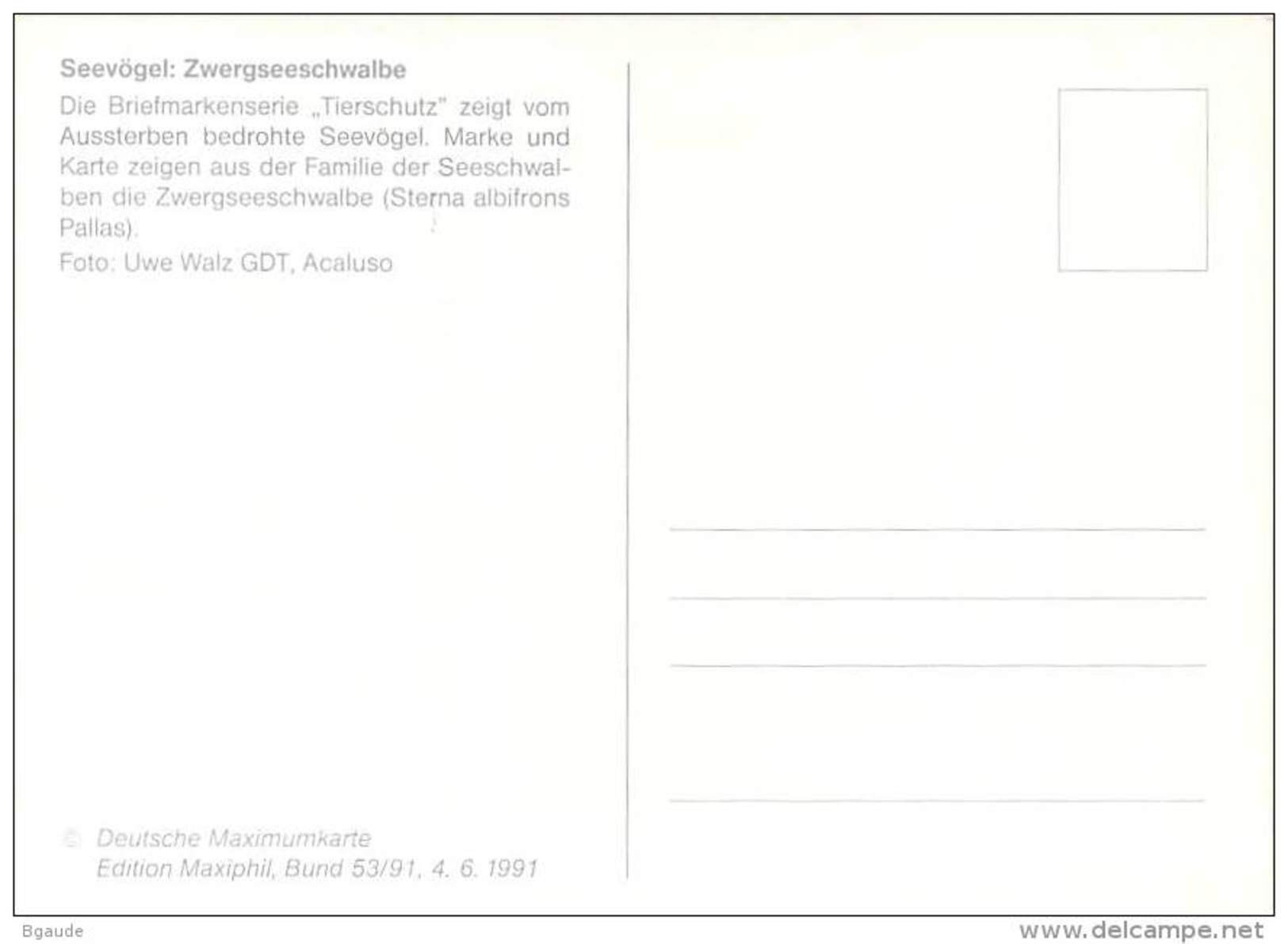 ALLEMAGNE BUnD CARTE MAXIMUM NUM-YVERT 1368 OISEAUX PROTECTION DE LA NATURE STERNE - Other & Unclassified