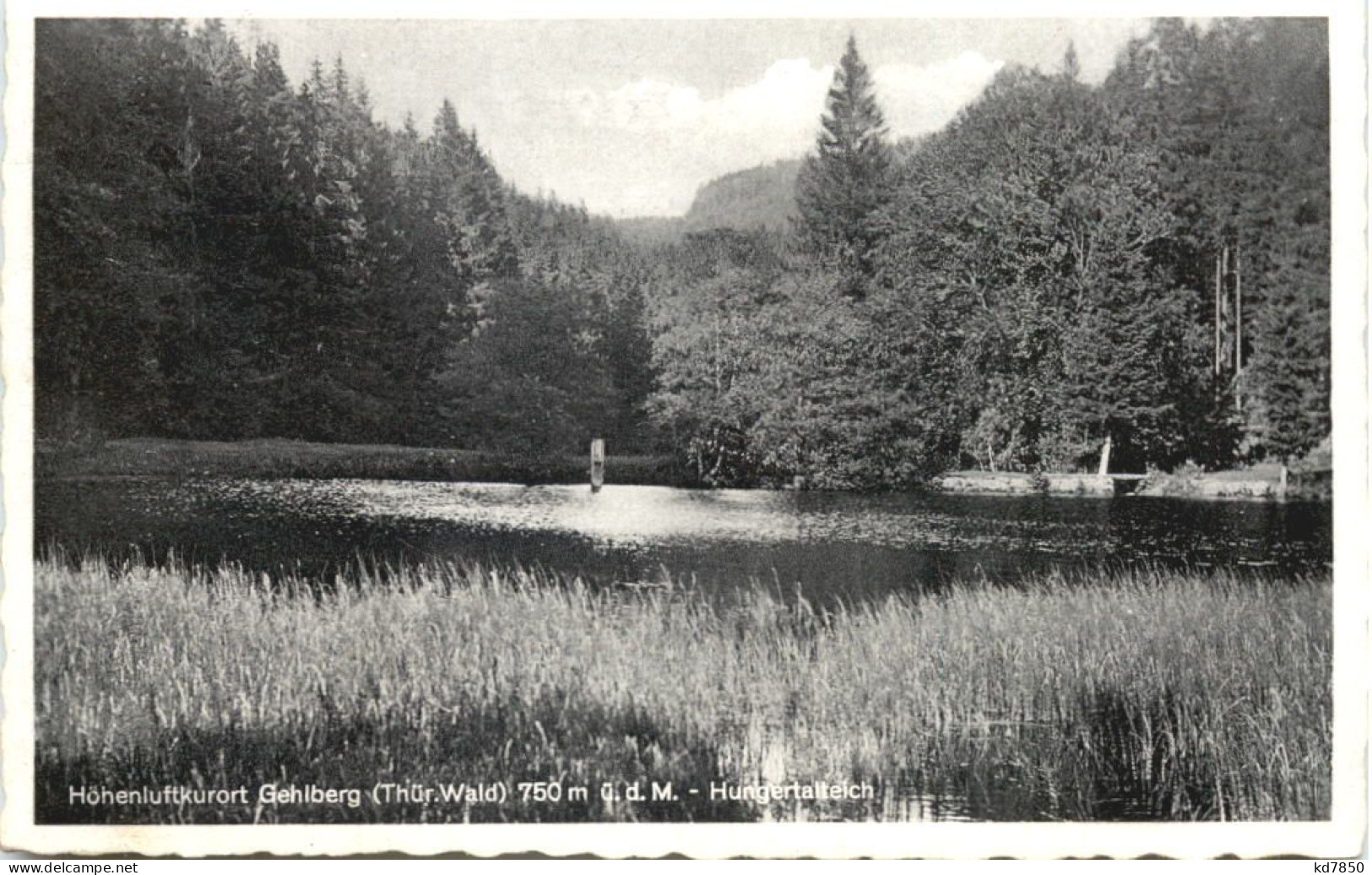 Gehlberg - Hungertalteich - Suhl