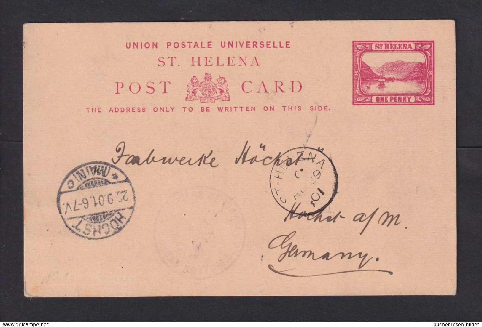 1901 - 1 P. Ganzsache Ab St. Helena Nach Deutschland - Zensurstempel Deadwood Camp - Sainte-Hélène