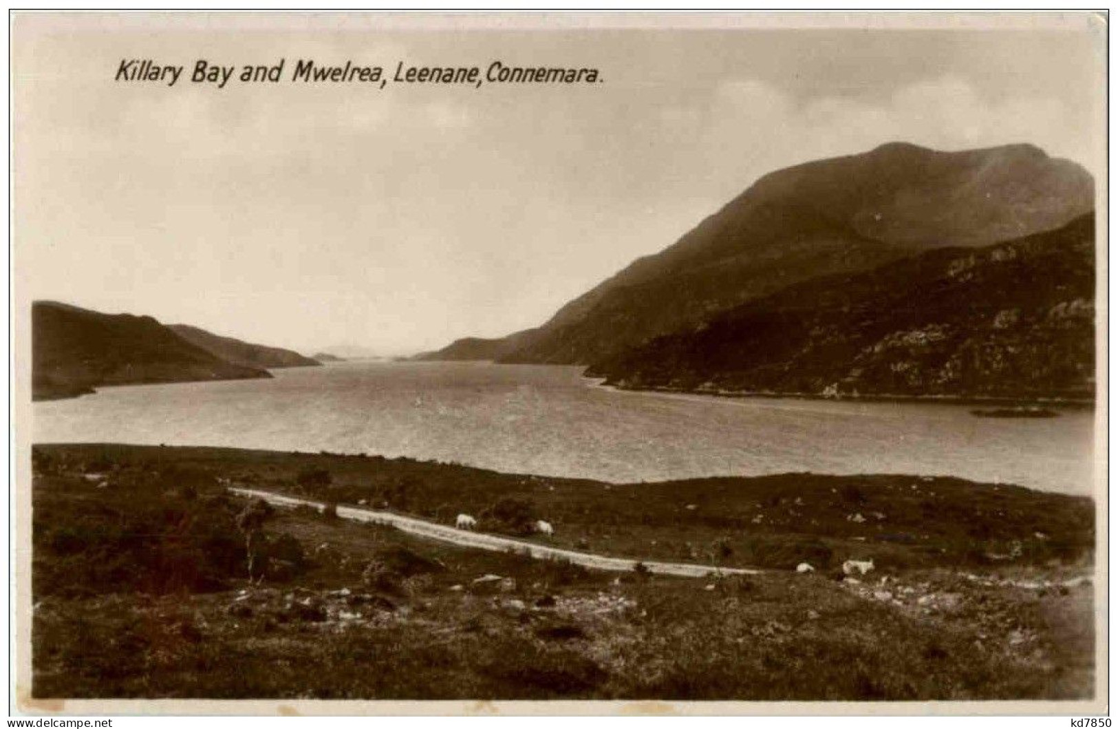 Killary Bay And Mwelrea - Leenanae Connemara - Other & Unclassified