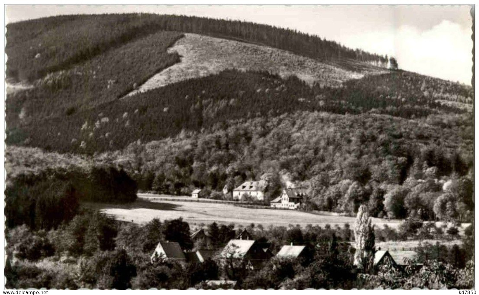 Darlingerode - Blick Auf Oehrenfeld - Ilsenburg