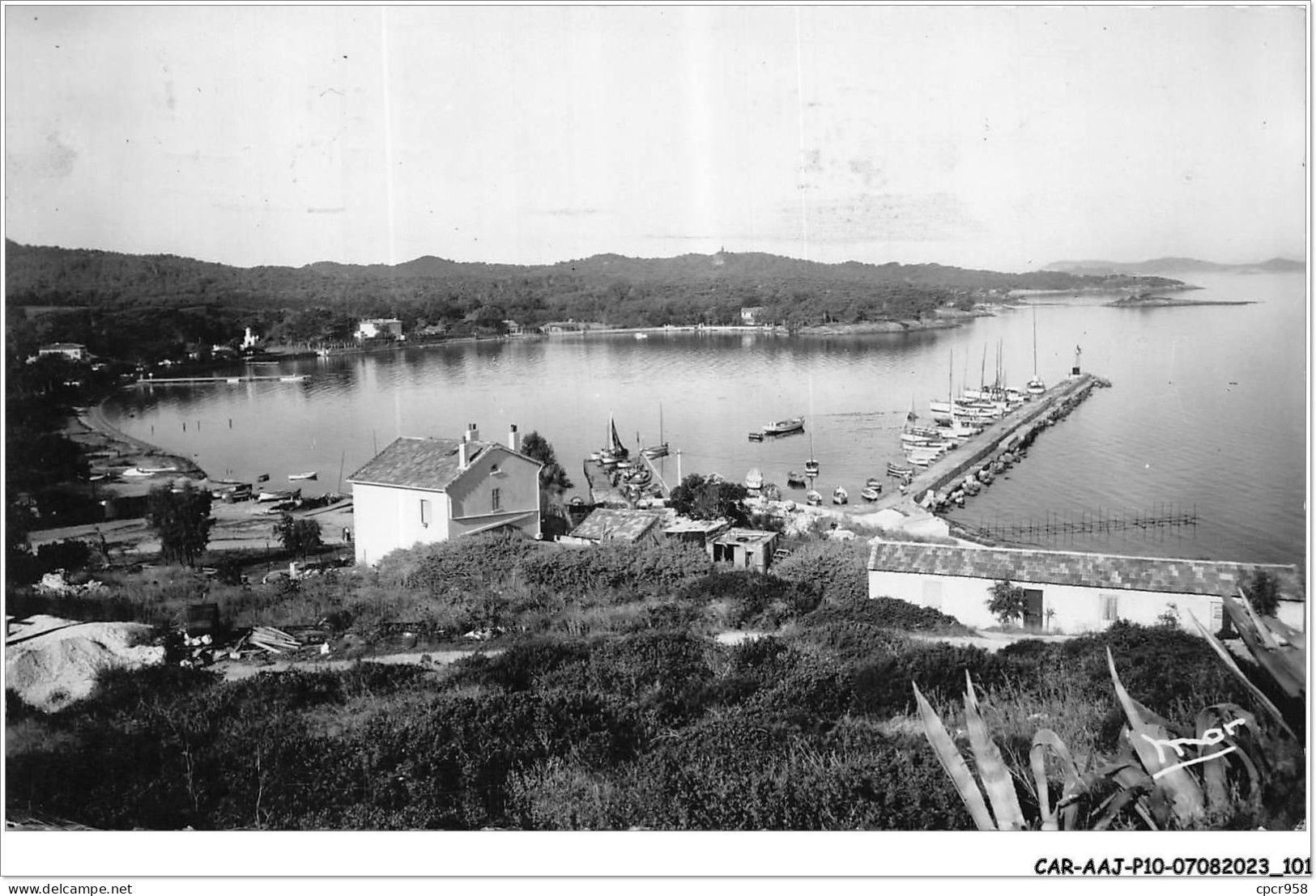 CAR-AAJP10-83-0930 - PORQUEROLLES - Vue D'ensemble De La Rade - Porquerolles