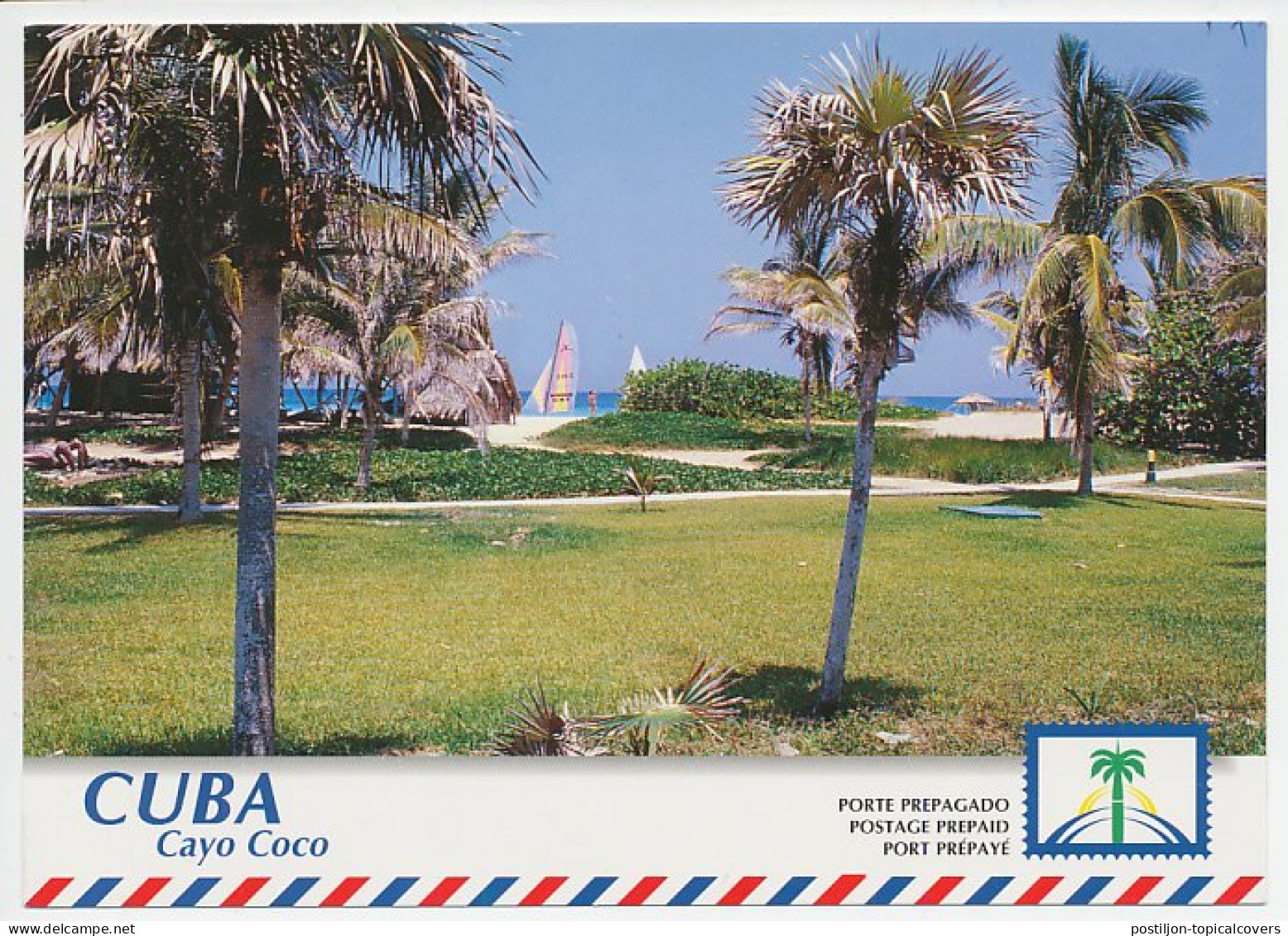 Postal Stationery Cuba 1999 Palm Tree - Bäume