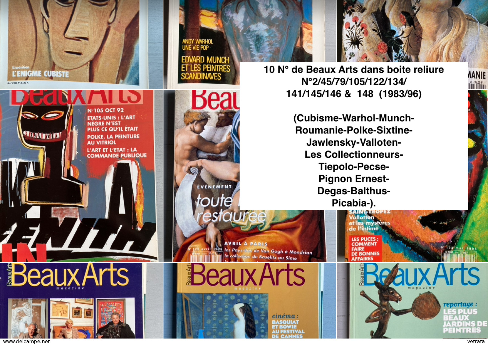 10 N° de Beaux Arts dans boite reliure  = N°2/45/79/105/122/134/141/145/146 &  148  (1983/96) (Cubisme-Warhol-Munch-Roum