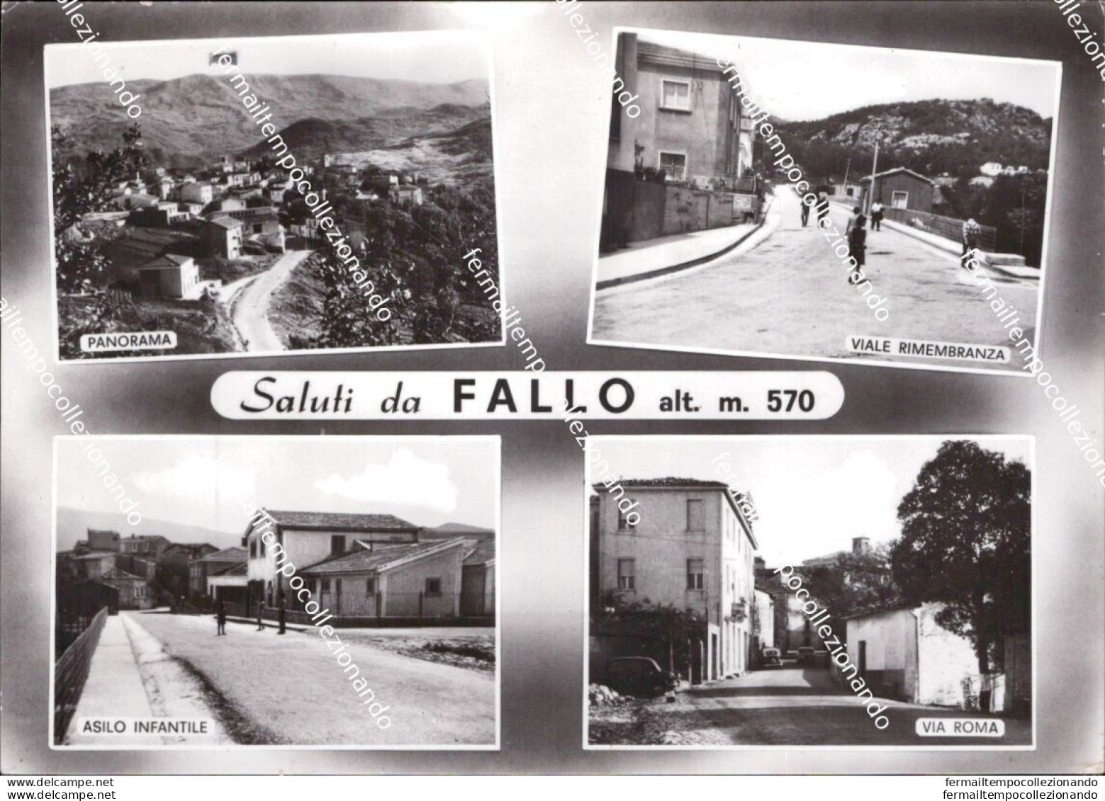 Cd620 Cartolina Saluti Da Fallo Provincia Di  Chieti Abruzzo - Chieti