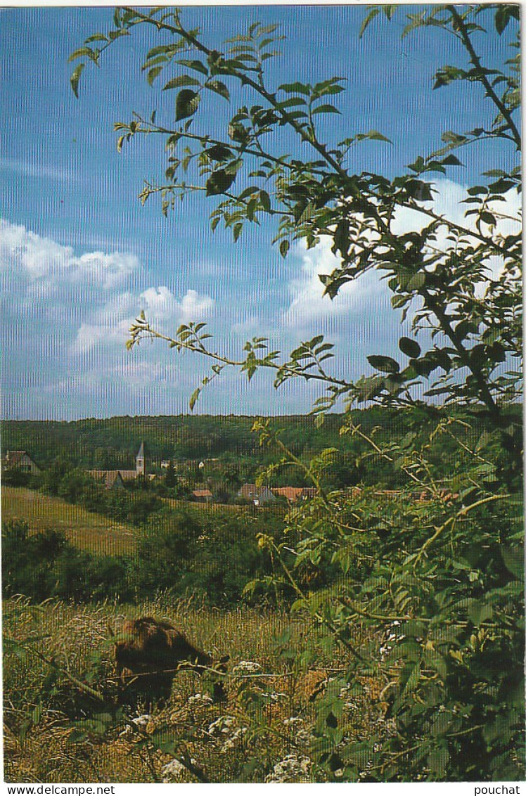 Z++ 7-(78) ELANCOURT - VUE DU VILLAGE - PHOTO J. DELIEGE  - 2 SCANS - Elancourt